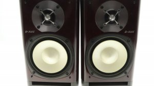 Акустика Onkyo D 302e