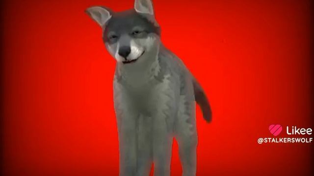 пока нету актива буду херню снимать🙂