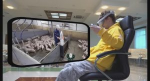 VR экскурсия по ферме Сибагро. Рассказывает Вадим Машков, основатель Vitrend