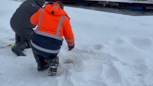 Поимки форели !!!