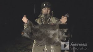 охота на бобра с ружьём