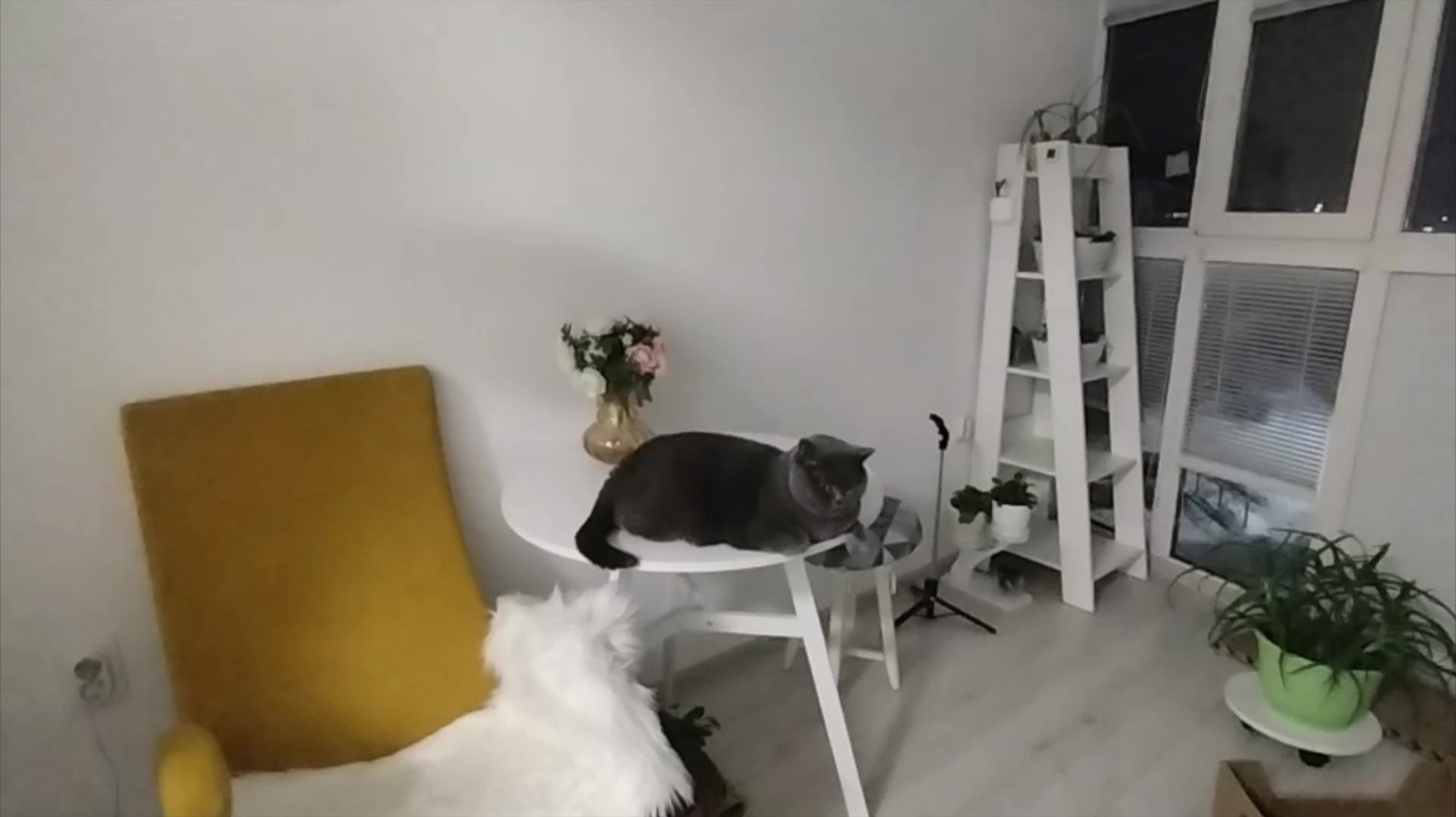 Подстриглась/Цветочный сквер/Готовлю/как дела у Марты