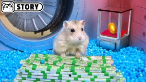 🐹 Ограбление и побег из банка с хомяками 🐹 Хомяк Хомура