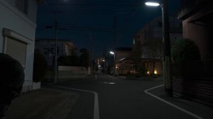 Вечерняя прогулка по переулкам Токио: от Сангендзяи до Симокитадзавы | Япония