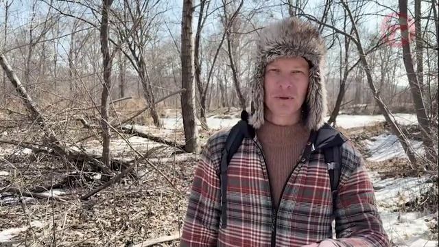 «По Уссурийскому краю». Растения семейства ивовых. смотреть онлайн