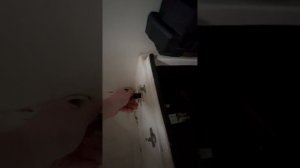 Selva sport fish 6.0 Yamaha 100