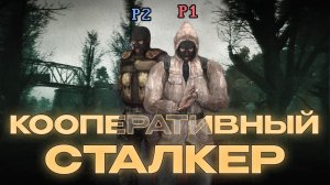 SHADOW OF COOP — ВЕРШИНА СТАЛКЕРСКОГО МОДДИНГА