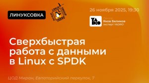 Сверхбыстрая работа с данными в Linux с SPDK