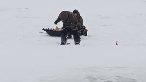 VID_20260226_095121_829