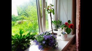 М.Магомаев.Верни мне музыку.В исполнении моего сына)