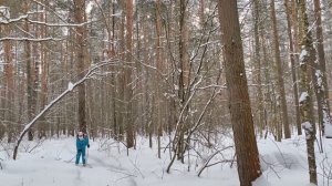 Лыжня с дочкой, Сокол февраль 2026