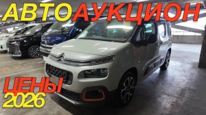 ОСМОТР В ЯПОНИИ ПЕРЕД ТОРГАМИ / TOYOTA COROLLA RUMION ALLION SUZUKI SWIFT JIMNY CITROEN BERLINGO