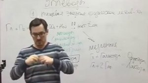 Заболотный К.Б. часть 5