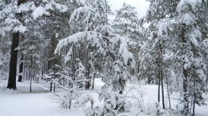 " Весенняя зарисовка... "