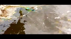 поездка за воблерами ЧАСТЬ 9