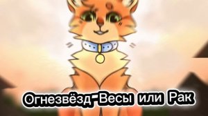 какой ты кот воитель по зз 1 часть