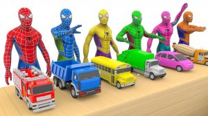 Изучаем цвета с Человеком-пауком – бросаем игрушечные машинки в разноцветные шины