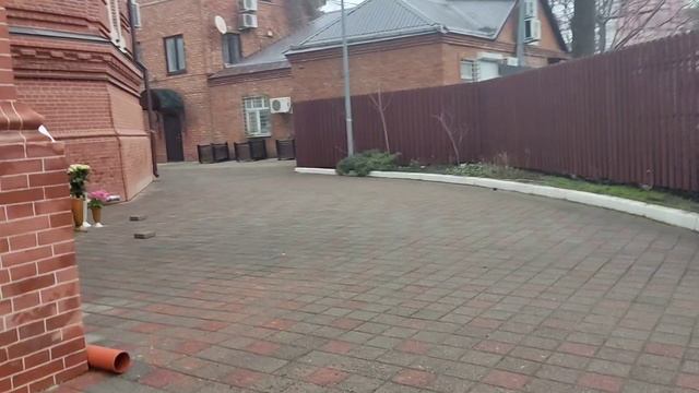 Посещение храма.# Готовлю холодец смотреть онлайн