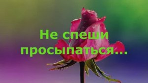 Не спеши просыпаться