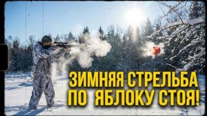 В ЯБЛОЧКО МР 512 лучшая пневматическая винтовка