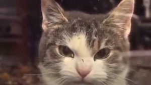 Вы там закончили?