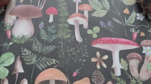 Да или нет? Таро расклад выбираем одну из трех карт