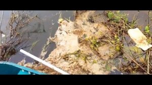 поездка за воблерами ЧАСТЬ 39