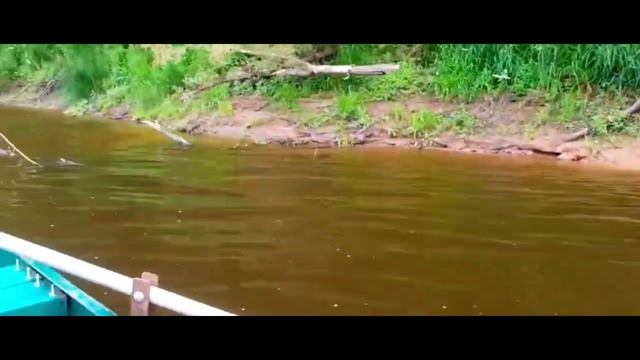 поездка за воблерами ЧАСТЬ 71