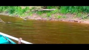 поездка за воблерами ЧАСТЬ 71