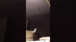 АЛЛАГЬ свят ❤️