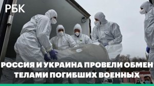 Россия и Украина провели обмен телами погибших военных