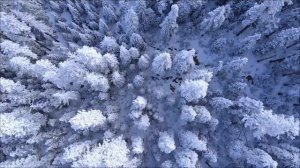 27 Февраля  - День Желаний. Особое время силы.