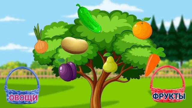 Что на дереве растёт