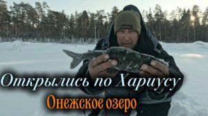 Открылись по Хариусу на Онежском озере