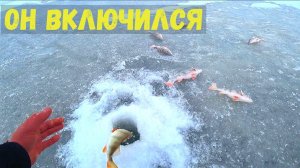 День был провален... пока не началось ЭТО