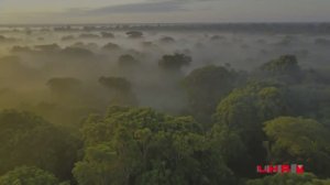 🅳🆁.🅰️🅻🅱🅰️🅽 - ℍ𝕖𝕝𝕝𝕠 𝔸𝕗𝕣𝕚𝕜𝕒 🅳🅹.🅸🅻🅷🅰️Ⓜ️ 🆁🅴Ⓜ️🅰️🆂🆃🅴🆁🅴🅳 2026