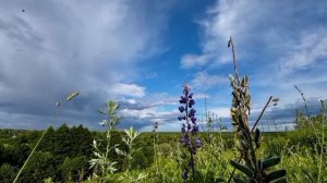 Какое будет лето в 2026 году? (2Часть)