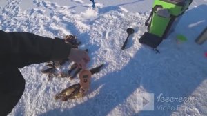 рыбачу на сало(эксперимент)и вот что наловилось...