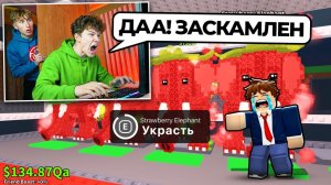 Я Приехал ДОМОЙ К АГРО СТРИМЕРУ 😈 И ВЗЛОМАЛ ЕГО КОМЬЮТЕР В РЕАЛЬНОЙ ЖИЗНИ STEAL A BRAINROT