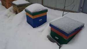 26.02.26 омлет одной семьи. весна совсем близко.