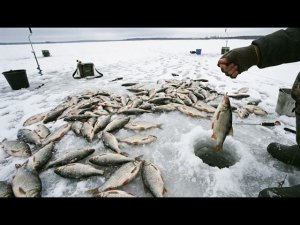 Малоизвестные приемы на рыбалке которые выделяют опытных рыбаков! Плотва в феврале марте.