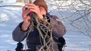 Нож настоящего мужика beaverknife