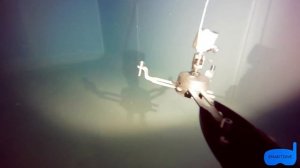 Новые органы управления