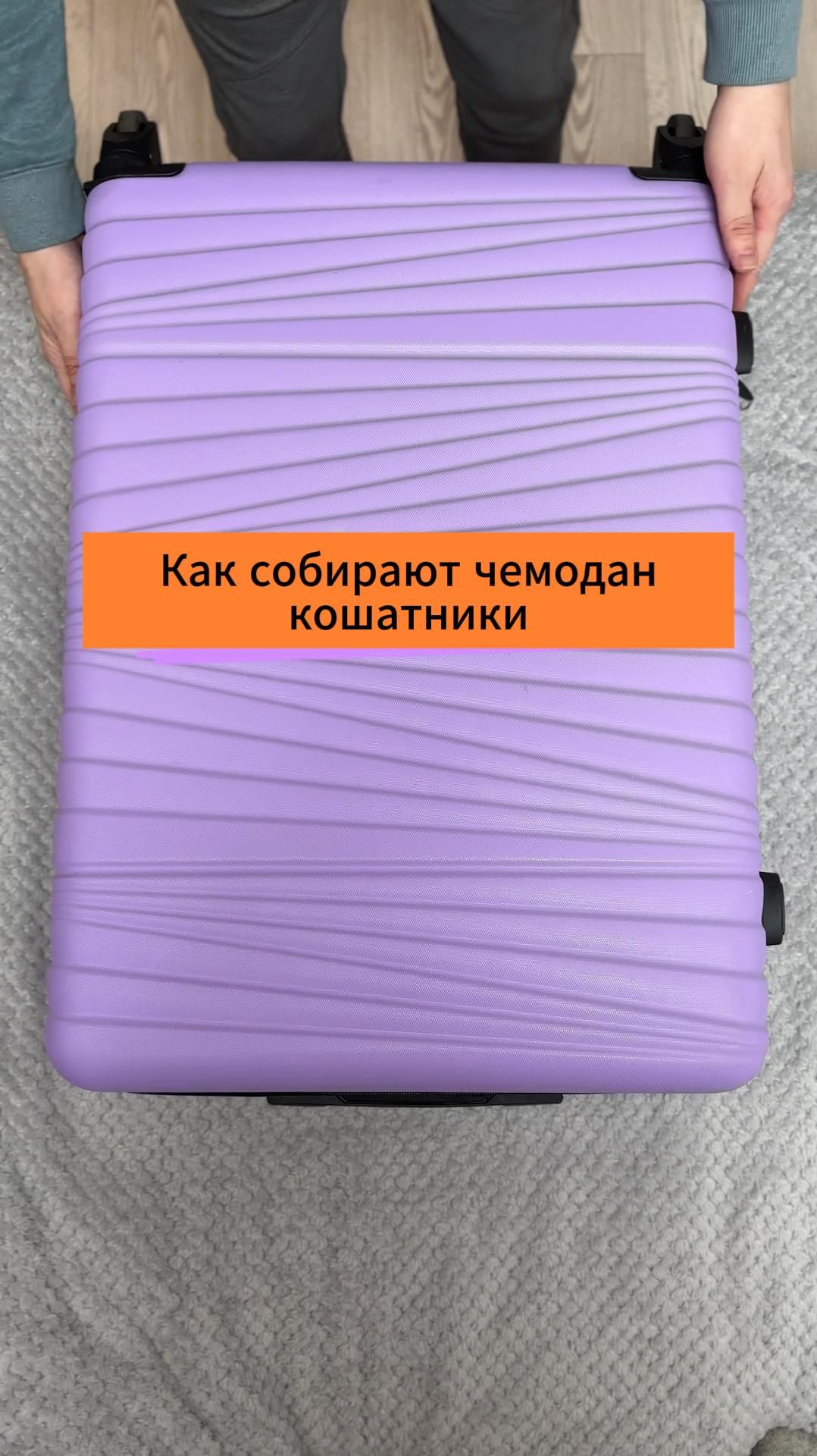 Как собирают чемодан кошатники смотреть онлайн