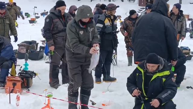 Зарыбление водоёма! Поимки форели на активные и пассивные снасти. смотреть онлайн