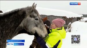 Нижегородская семья Пироговых спасает диких животных