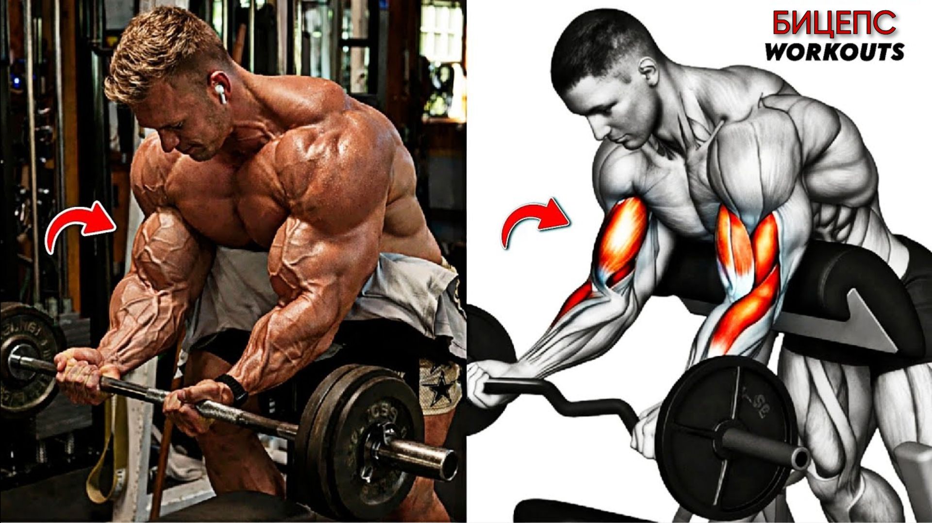 Раскройте Массивные Бицепсы ⚡ 8 Упражнений Выполняемых Руками С Разрезами На Рукавах