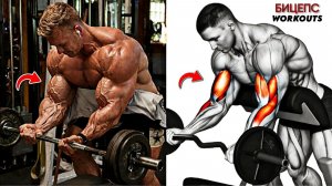 Раскройте Массивные Бицепсы ⚡ 8 Упражнений Выполняемых Руками С Разрезами На Рукавах