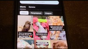 МИФИЧЕСКИЕ ПРИЮТЫ ДЛЯ ЖИВОТНЫХ