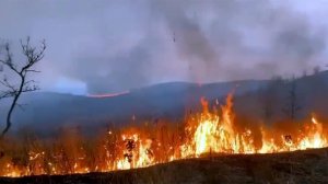 В Приморье ликвидирован крупный природный пожар.